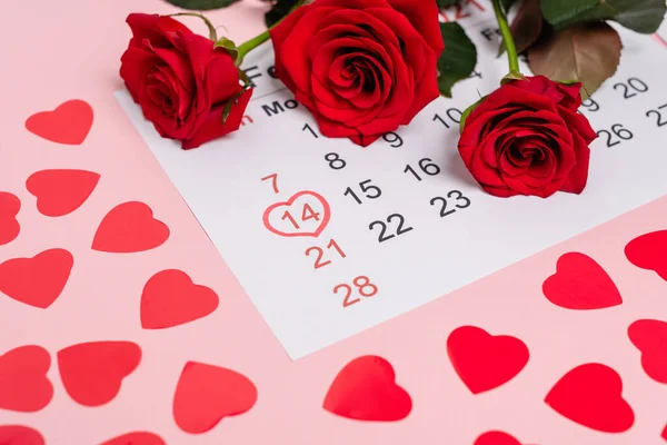 Calendario de febrero con corazones y rosas sobre fondo rosa - foto de stock