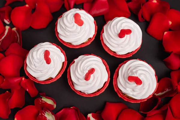 Vista superior de pétalas de rosa e cupcakes valentines isolados em preto — Fotografia de Stock