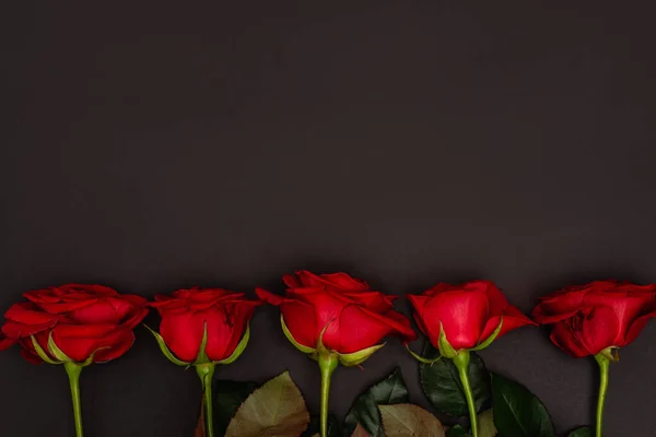 Top view of roses isolated on black — Stock Photo