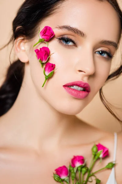 Femme sensuelle avec des fleurs sur le visage regardant caméra isolée sur rose — Photo de stock