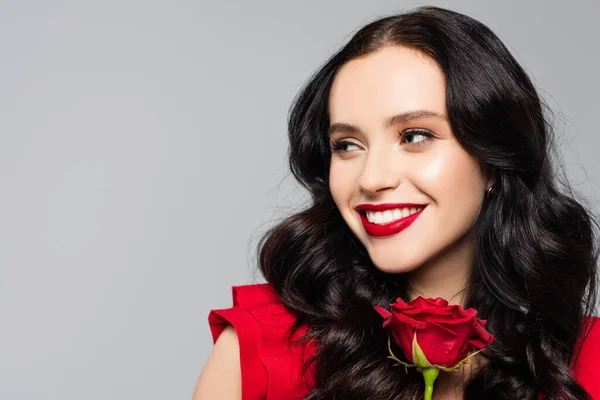 Happy young woman smiling near red rose isolated on grey — Stock Photo