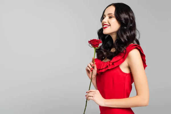 Усміхнена молода жінка тримає червону троянду ізольовано на сірому — стокове фото