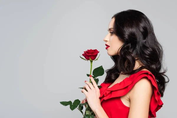 Vista laterale della donna che tiene rosa rossa isolata sul grigio — Foto stock