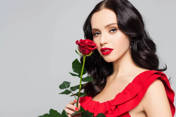 Young woman with red lips holding rose isolated on grey — Stock Photo