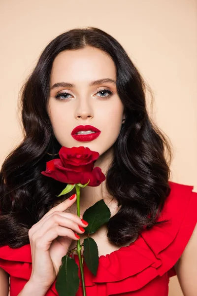 Brunette young woman with red lips holding rose isolated on pink — Stock Photo