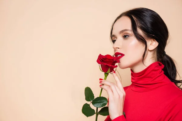 Sensual mujer con labios rojos sosteniendo rosa roja y mirando hacia otro lado aislado en rosa - foto de stock