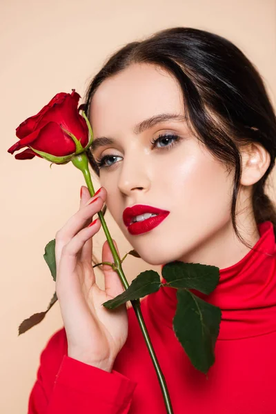 Mujer sensual con labios rojos sosteniendo rosa roja aislada en rosa - foto de stock