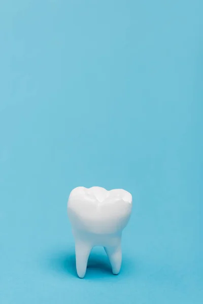 Vista de perto do modelo de dente branco no fundo azul com espaço de cópia — Fotografia de Stock