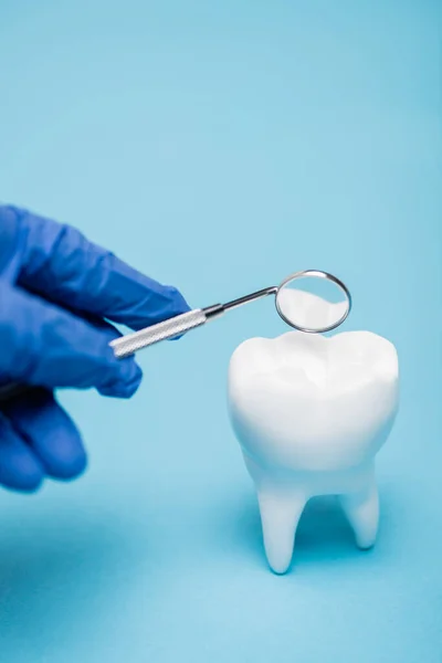 Обрезанный вид зубной модели рядом с стоматологом в латексной перчатке с зеркалом на размытом переднем плане на синем фоне — стоковое фото