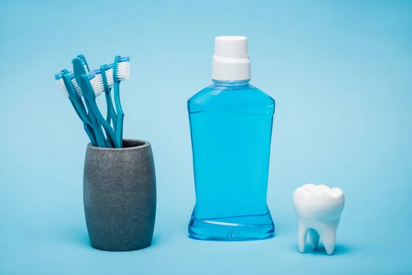 Escovas de dentes, enxaguatório bucal e modelo branco de dente sobre fundo azul — Fotografia de Stock