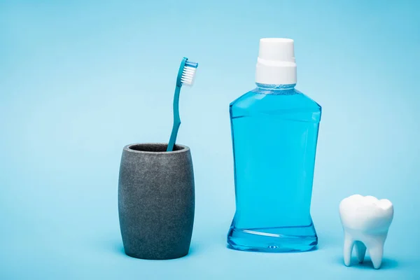 Escova de dentes, modelo de dente e garrafa de enxaguatório bucal em fundo azul — Fotografia de Stock