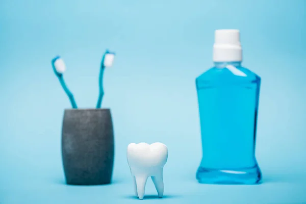 Modelo de diente cerca de cepillos de dientes y enjuague bucal sobre fondo borroso sobre fondo azul - foto de stock