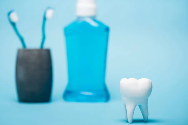 Vista de cerca del modelo de dientes cerca de enjuague bucal y cepillos de dientes borrosos sobre fondo azul - foto de stock