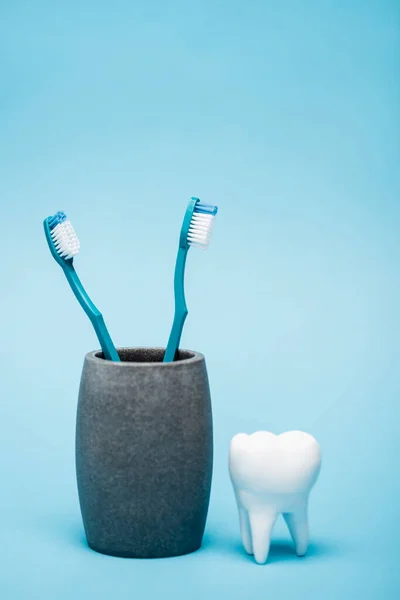 Escovas de dentes e modelo de dente no fundo azul — Fotografia de Stock