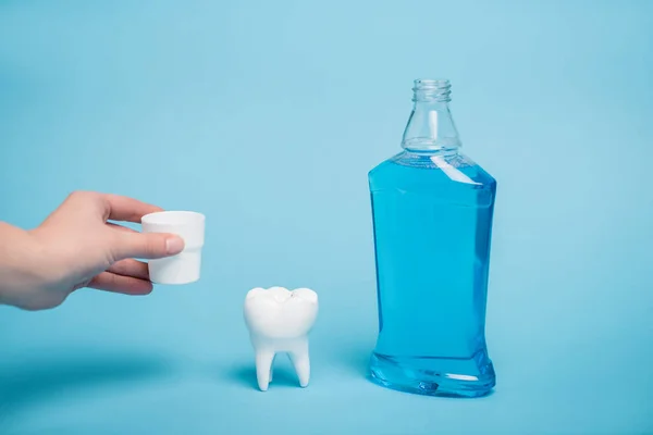 Vista cortada da mulher segurando tampa perto do modelo de dente e garrafa de enxaguatório bucal no fundo azul — Fotografia de Stock