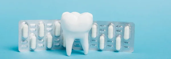 White model of tooth an blister with pills on blue background, banner — Stock Photo