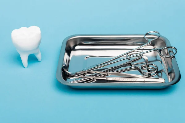 Tooth model and dental tools in tray on blue background — Stock Photo