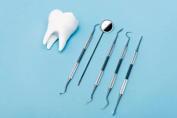 White tooth model and dental tools on blue background — Stock Photo