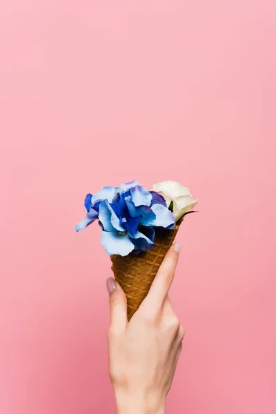 Partial view of woman holding waffle cone with blue flowers in hand isolated on pink — Stock Photo