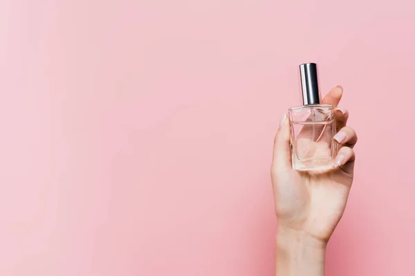 Partial view of woman holding bottle with luxury perfume in hand isolated on pink — Stock Photo