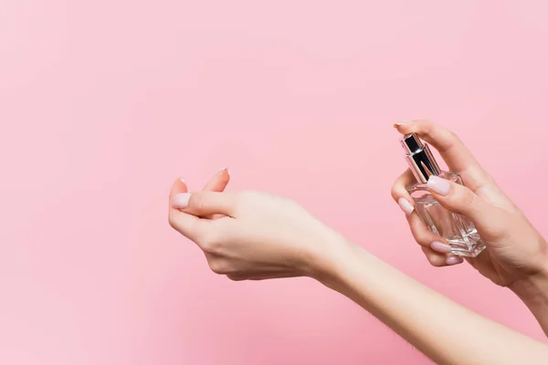 Vista recortada de la mujer sosteniendo botella con perfume de lujo aislado en rosa - foto de stock