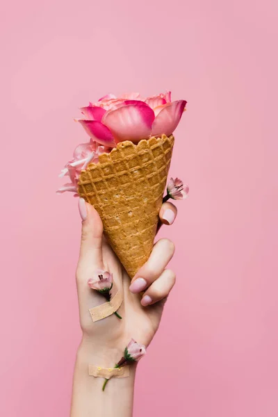 Abgeschnittene Ansicht der Frau mit Waffelkegel mit Blütenblättern in der Hand mit Blumen bedeckt von Pflastern isoliert auf rosa — Stockfoto