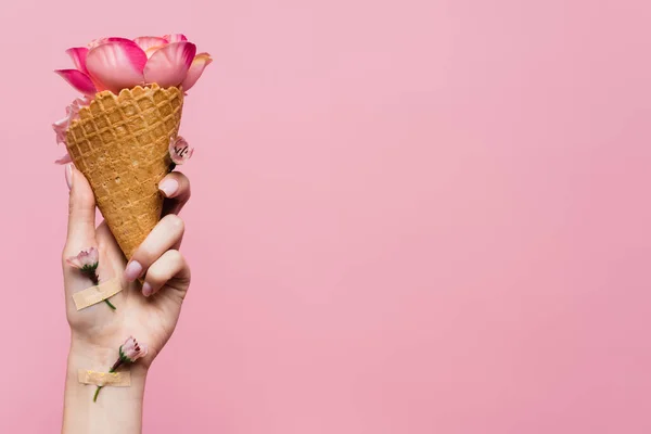 Vue partielle de la femme tenant un cône de gaufre avec des pétales à la main avec des fleurs recouvertes de plâtres isolés sur rose — Photo de stock