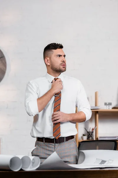 Arquiteto sério olhando para longe enquanto ajusta gravata perto de plantas no escritório — Stock Photo