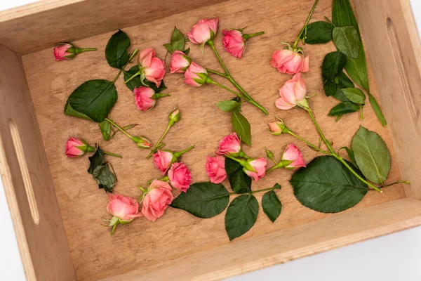 Вид зверху на рожеві чайні троянди в дерев'яній коробці — стокове фото