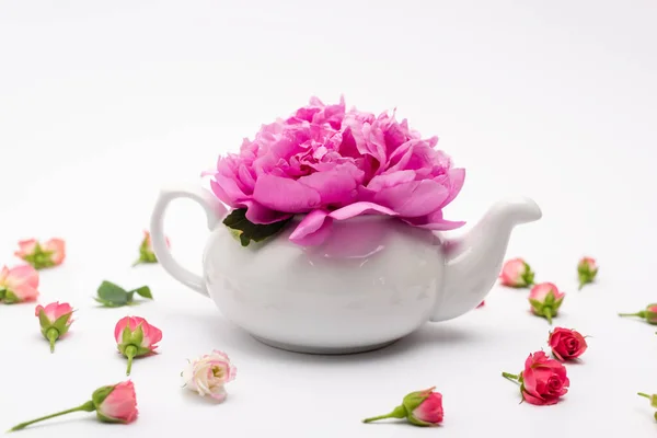Flor rosa em bule de porcelana perto de pequenas rosas de chá no branco — Fotografia de Stock