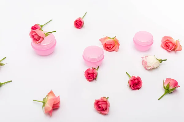 Roses de thé rose et de délicieux macarons sur blanc — Photo de stock