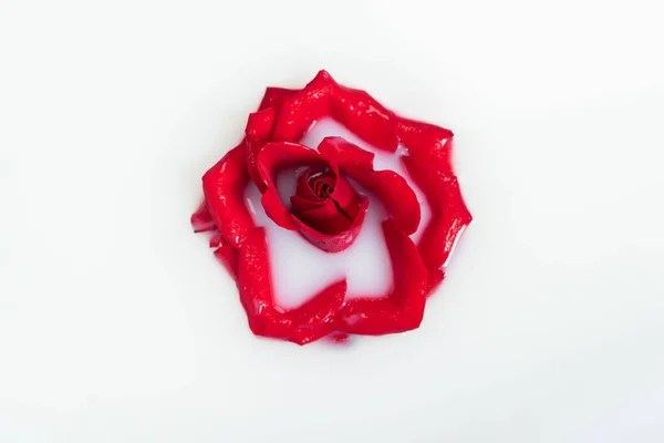 Вид зверху на молочну воду з червоною трояндою — стокове фото