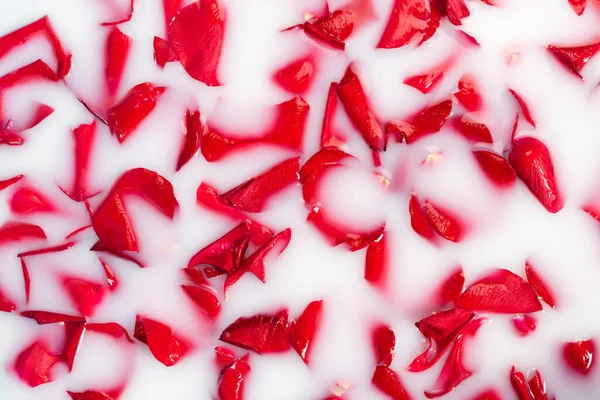 Vue de dessus des pétales rouges de roses dans l'eau laiteuse — Photo de stock
