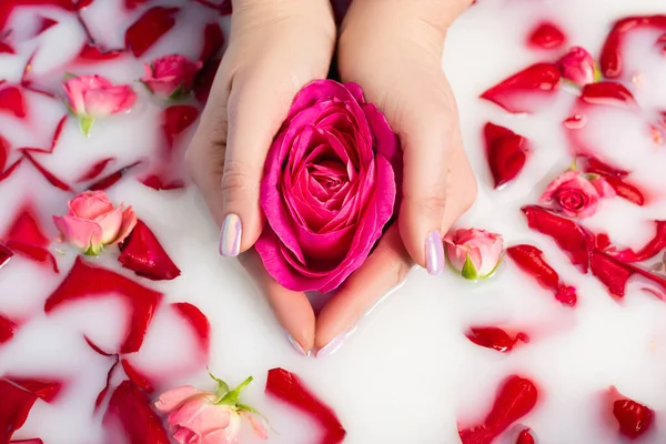 Vue recadrée d'une femme tenant une fleur rose près de roses dans de l'eau laiteuse — Photo de stock