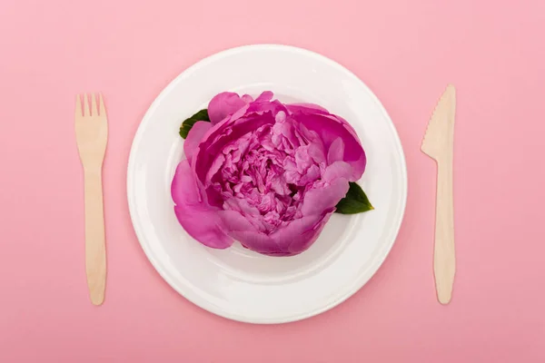 Vue de dessus des couverts jetables en bois près de la plaque blanche avec fleur isolée sur rose — Photo de stock