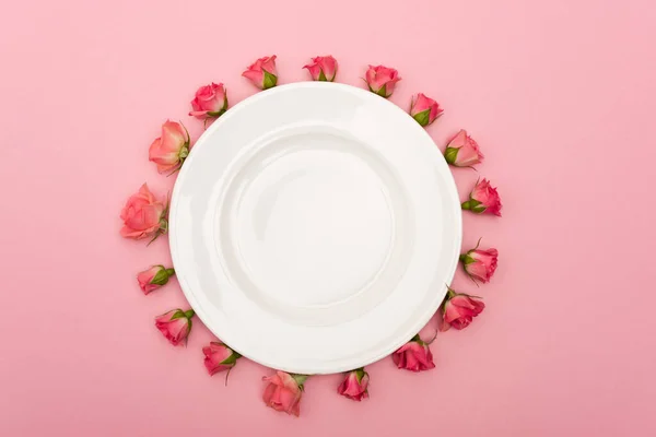 Posa piatta con piastra bianca e rose da tè isolate su rosa — Foto stock