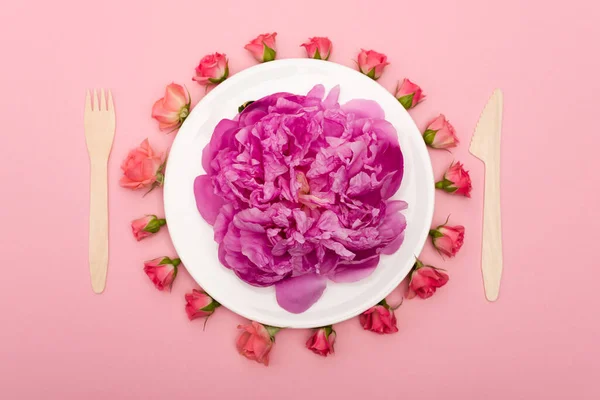 Flat lay with disposable wooden cutlery near white plate with peony and tea roses isolated on pink — Stock Photo