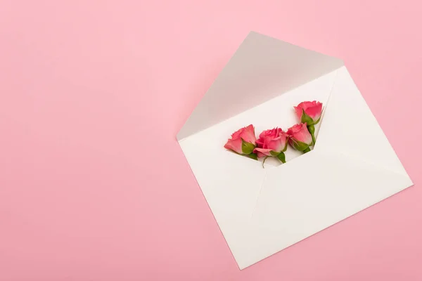 Vue du dessus des roses de thé dans une enveloppe blanche isolée sur rose — Photo de stock