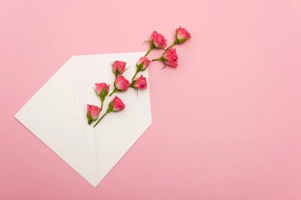 Vue du dessus de petites roses de thé dans une enveloppe blanche isolée sur rose — Photo de stock