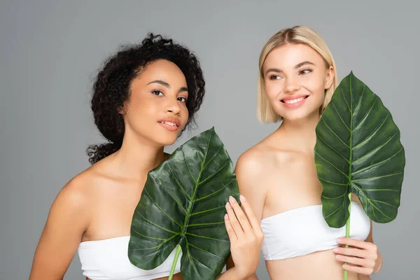 Lächelnde multiethnische Frauen mit tropischen Blättern isoliert auf grau — Stockfoto