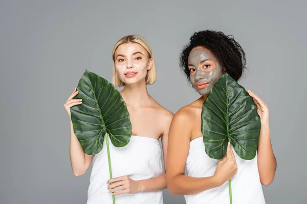 Femmes interraciales avec des masques faciaux tenant des feuilles tropicales isolées sur gris — Photo de stock