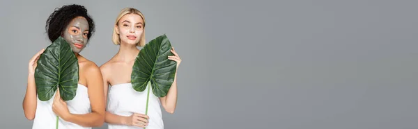 Multicultural women in towels and facial masks holding green leaves isolated on grey, banner — Stock Photo