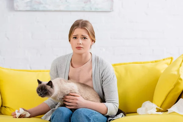Mujer molesta sosteniendo la servilleta y el gato siamés en el sofá - foto de stock