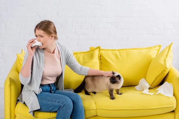 Woman sneezing and holding napkin near cat in living room — Stock Photo