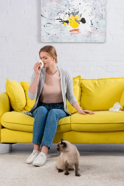 Mujer con servilleta estornudando cerca de gato siamés en alfombra - foto de stock