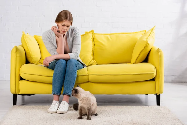 Mulher triste com alergia segurando guardanapo perto de gato na sala de estar — Fotografia de Stock