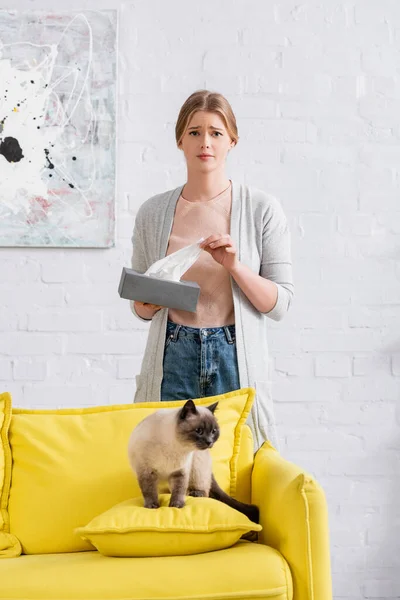 Mujer insatisfecha sosteniendo servilleta cerca de gato siamés en sofá - foto de stock