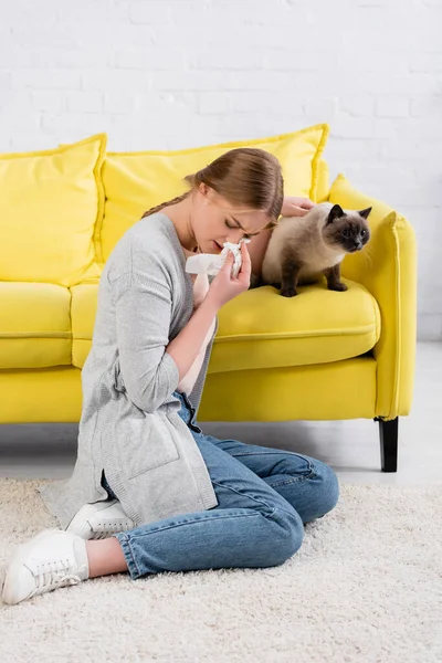 Mujer joven sosteniendo servilleta durante la alergia cerca de gato en sofá - foto de stock