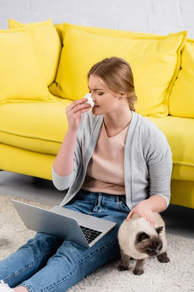 Freelance che tiene il tovagliolo vicino a computer portatile e gatto durante allergia — Foto stock
