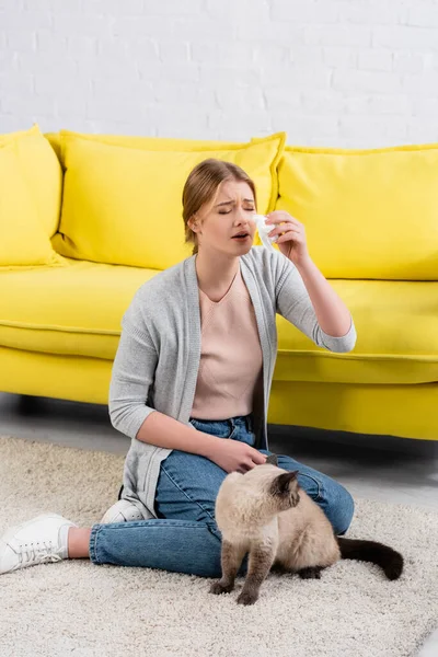 Giovane donna con tovagliolo che soffre di allergia vicino al gatto siamese peloso sul tappeto in soggiorno — Foto stock